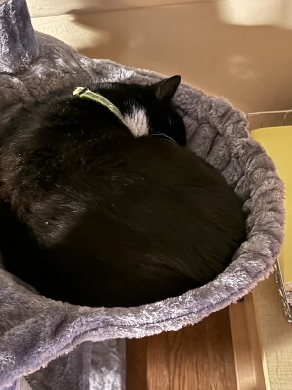 Getting a much needed nap!