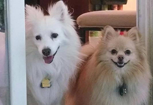 My Kona and Charlotte