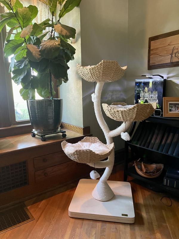 MAU LIFESTYLE Ivy 3, 53in Modern Cat Tree, Natural