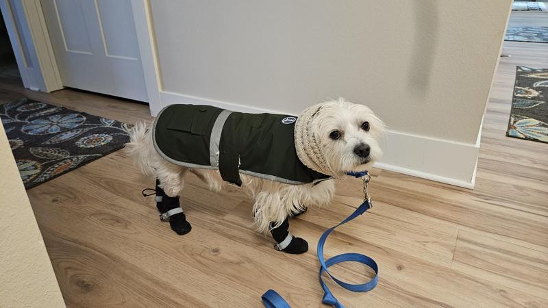 Dressed for a winter walk in WI