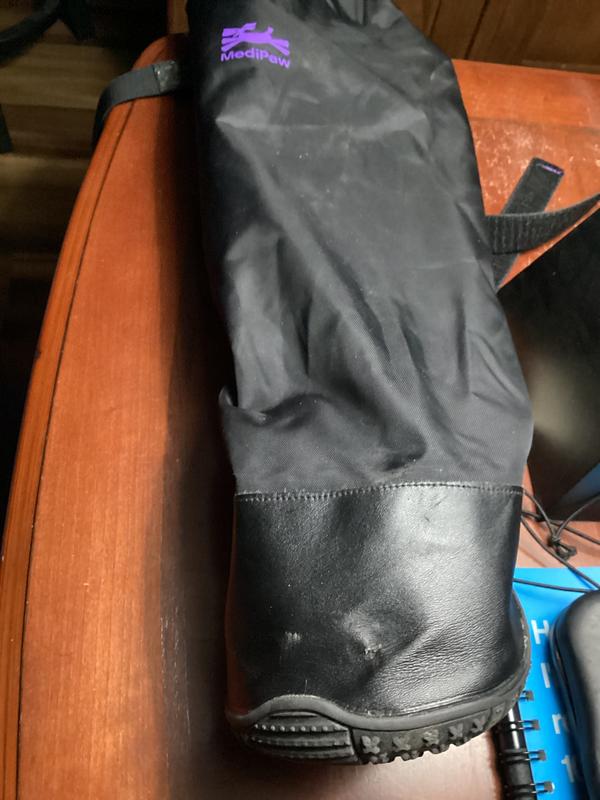 Tearing starting on paw upper