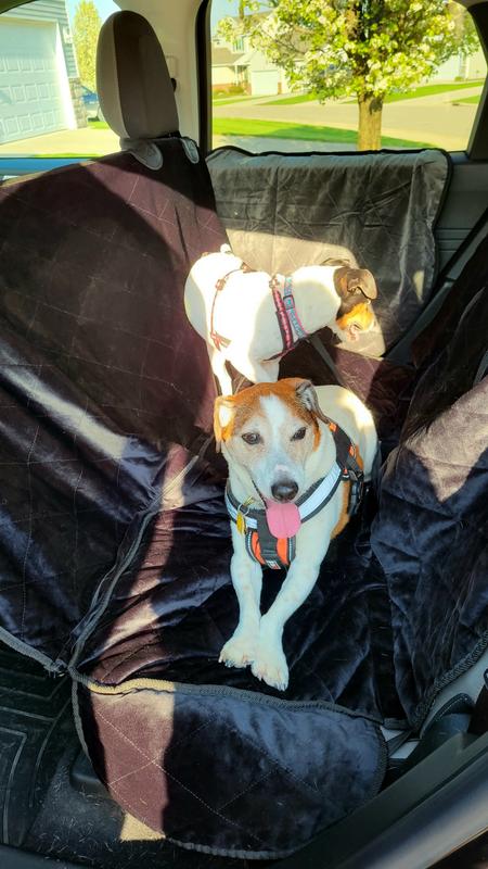 Aubrey and Velvet, ready to go!