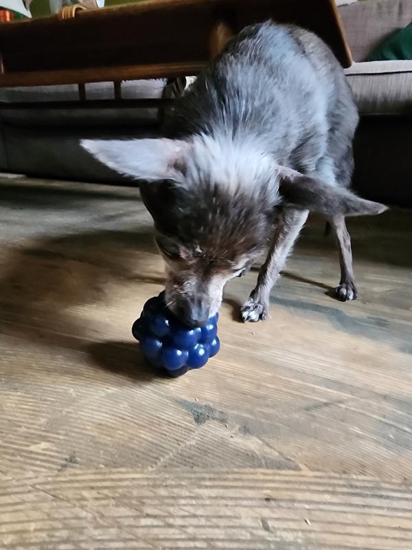 Stella getting some cheese.