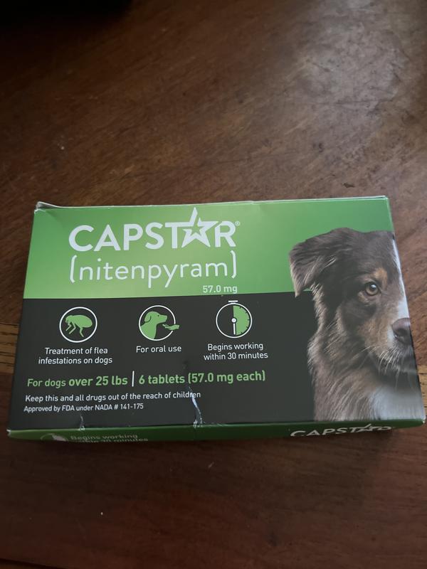 CAPSTAR Flea Oral Treatment for Dogs over 25 lbs 6 Tablets Chewy