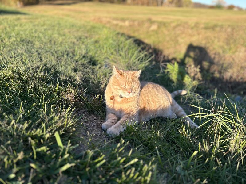 Enjoying some time outdoors