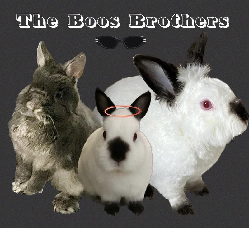 BennyBoo, Angel Charlie & Boomer