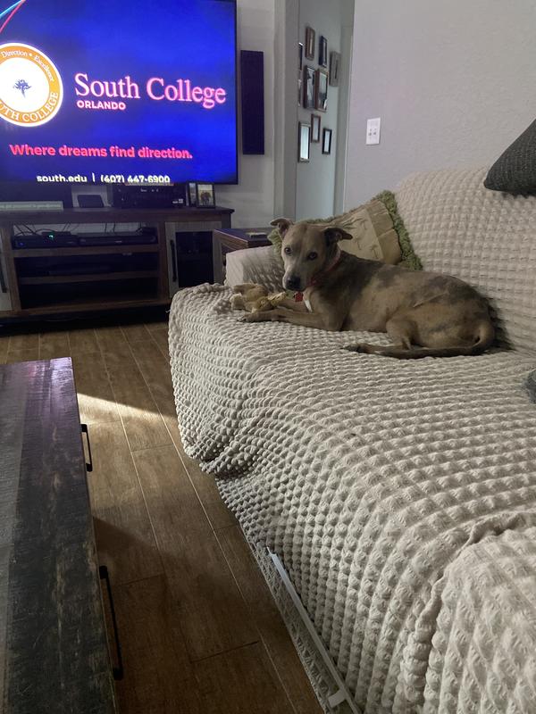 Remi at play with her rabbit.