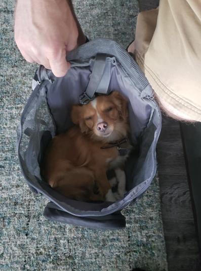 Sleepy bag