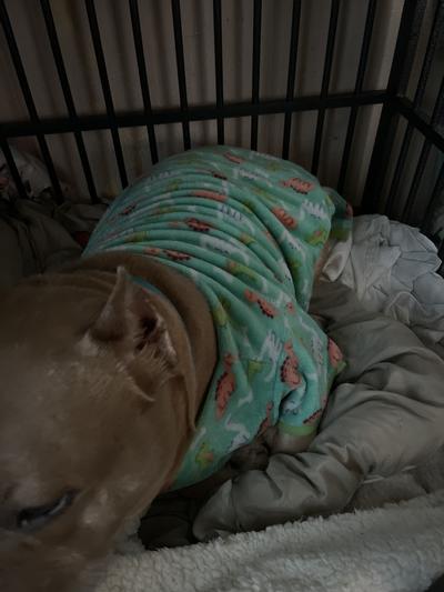 Love my Pjs from a rescue dog