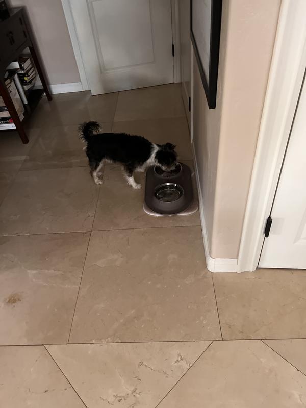 Mmmmm, this is yummy!