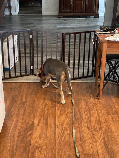 Yay!  He can't get through.