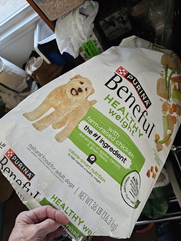 best royal canin dog food for cairn terriers Royal Canin Breed Health Nutrition Yorkshire Terrier Adult Dry Dog F   Petsense