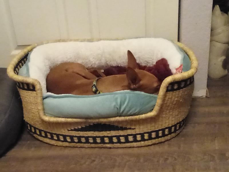 BEST FRIENDS BY SHERI Throne Cuddler Bolster Cat & Dog Bed, Grey, Jumbo