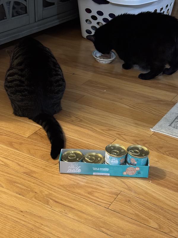 Our cats trying their pate