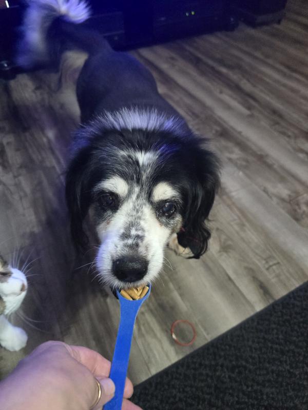 She thought that I was handing her the scoop. She took it ever so gently and proceeded to go eat them.