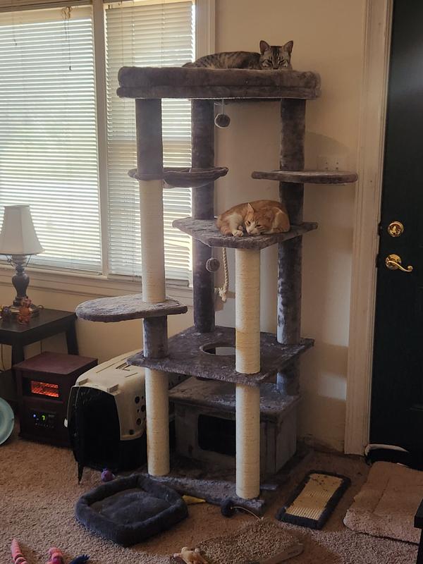 FRISCO 65-in XXL Heavy Duty Cat Tree, Cream - Chewy.com