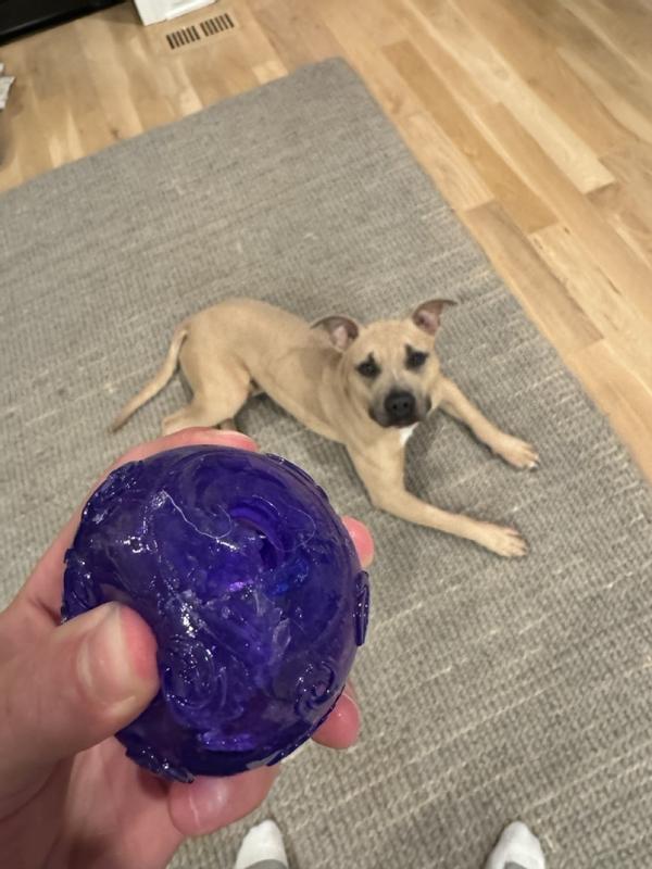 Punctured ball and squeaker