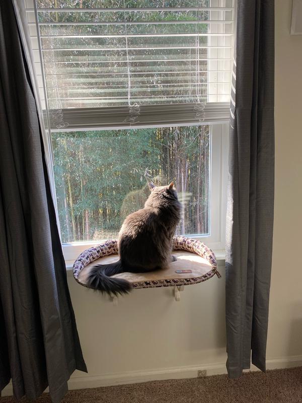 K&H PET PRODUCTS Deluxe Kitty Sill Cat Window Perch, Kitty Print