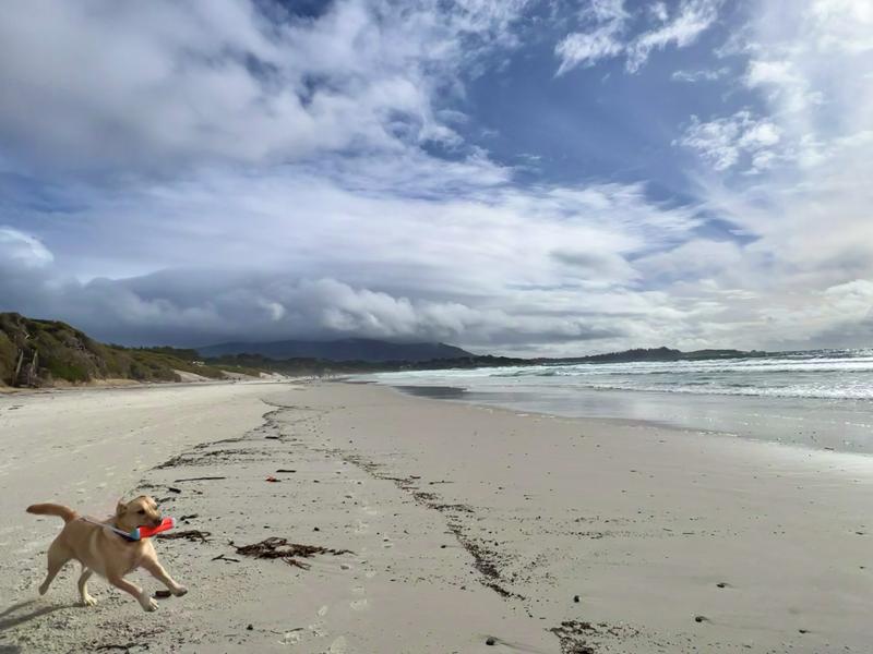 The Beach Too