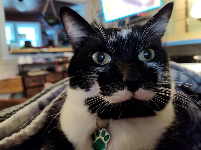 One out of two says YES!