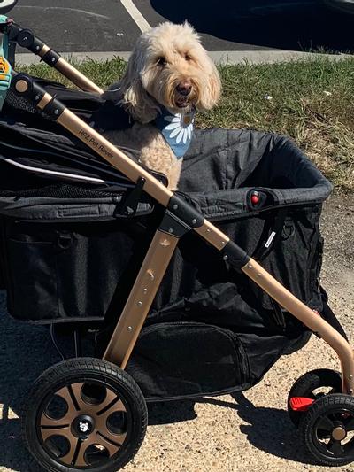 Product Reviews for HPZ Pet Rover Titan HD Premium Super-Size SUV