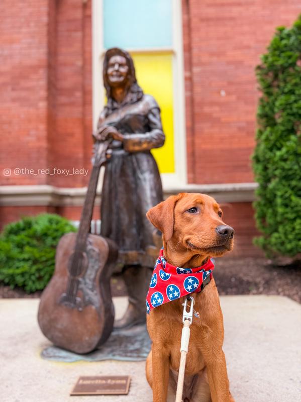 The BEST bandana for a TN pup