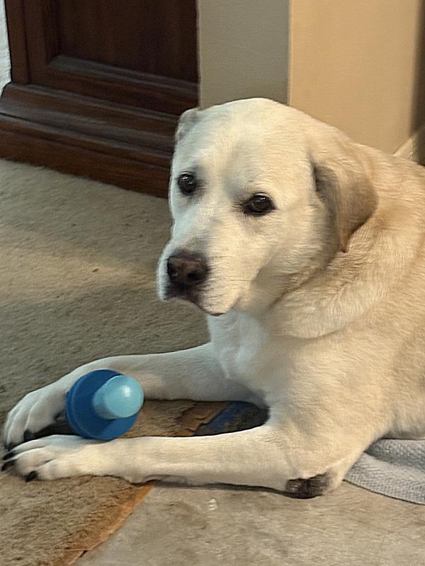 Don't even think about taking my new toy.