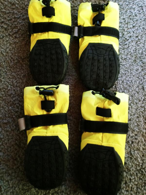 FRISCO Reflective Dog Boot, Lime Green, X-Small, 2 count - Chewy.com