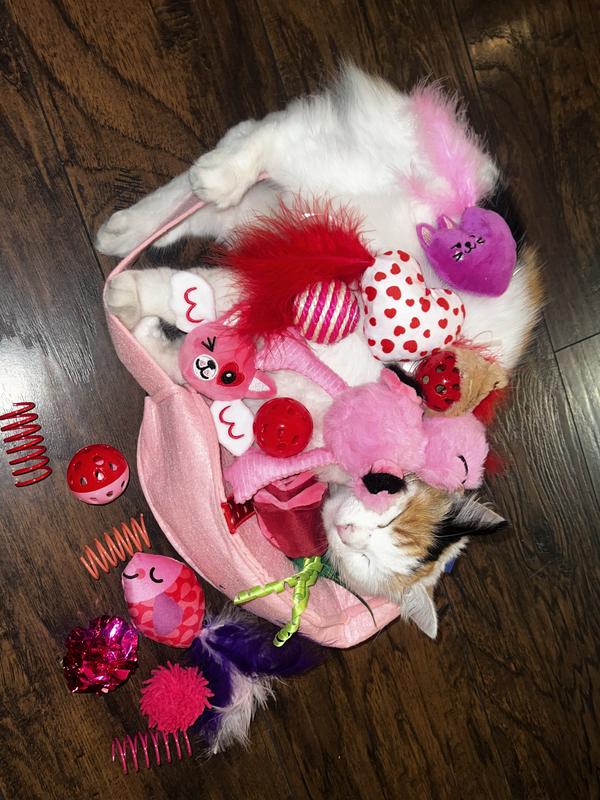 Kimchi modeling all the toys inside the bag