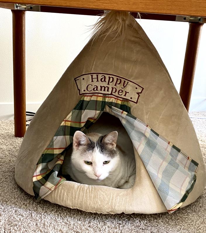 Pixie in one of her teepees.