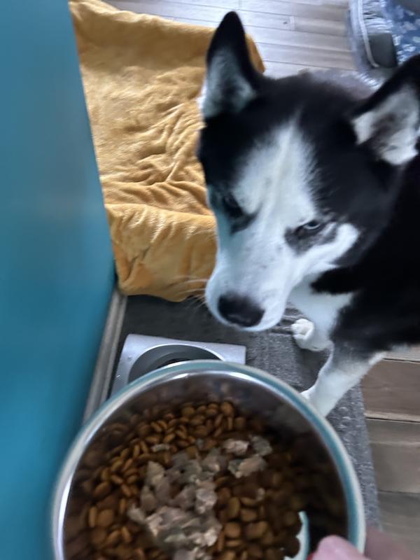 PETPLATE Human Grade GrainFree Chicken & Beef Fresh Dog Food, 12oz cup, case of 12