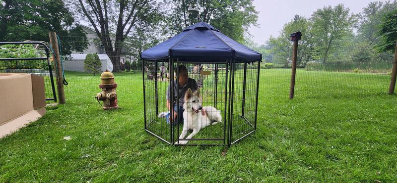 Storm likes his new camping pen!