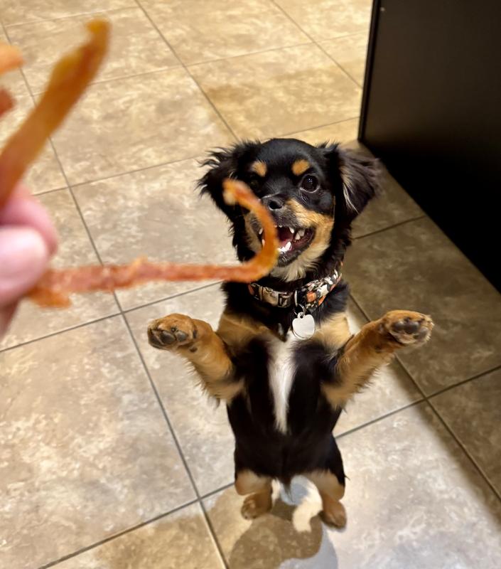 6 month old puppy loves em!