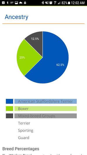Xena's breed breakdown