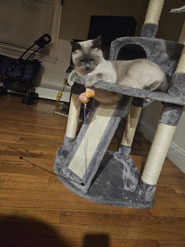 It even has a hole for his belly