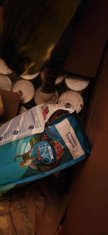 bag was sliced before shipping