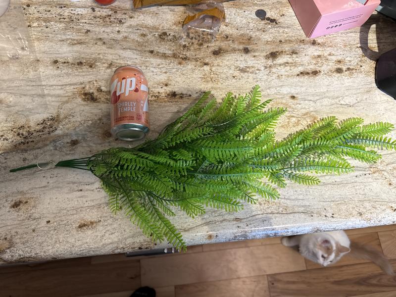 Size comparison
