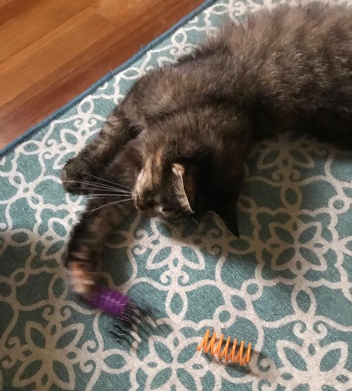 Kitsu is Overjoyed