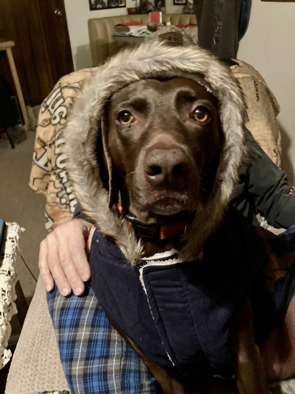 Oakley girl loves her new coat!