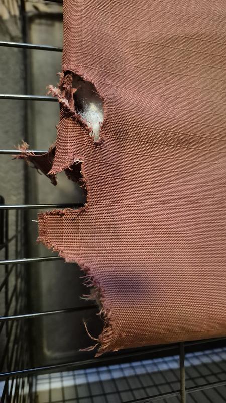 He let it live 4 partial days