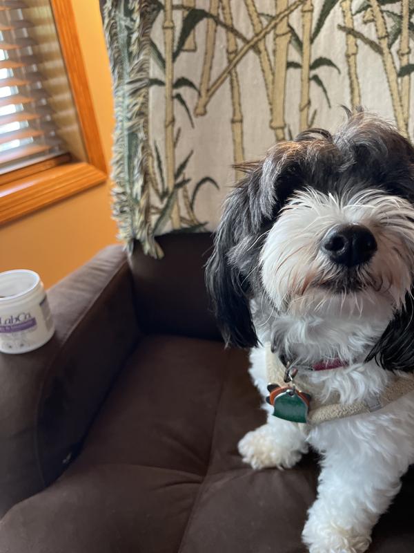 I like my “treats”!