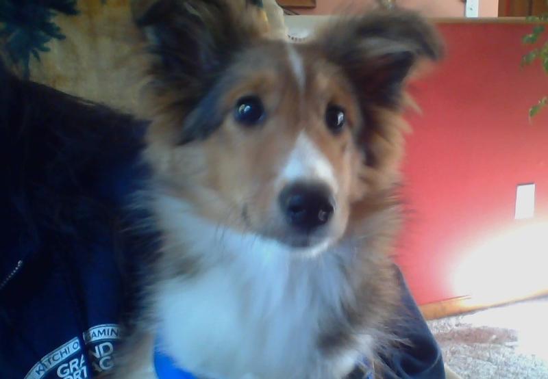 Skylar, we so love you and miss you, baby boy.