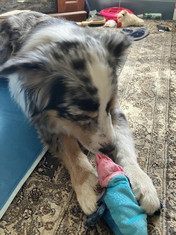 Lookin for every last crumb.