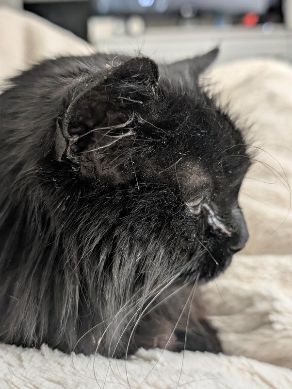 Madison, almost 19 yo