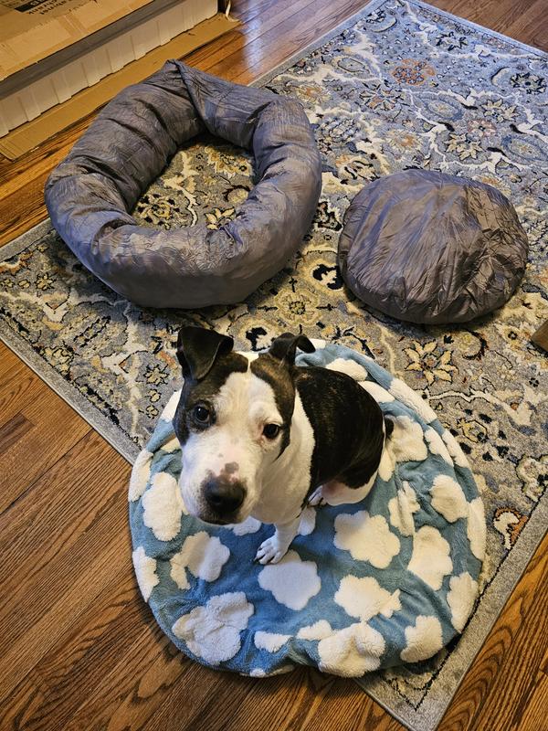 Side and bottom pillows and cover included. Adorable dog comes separately.