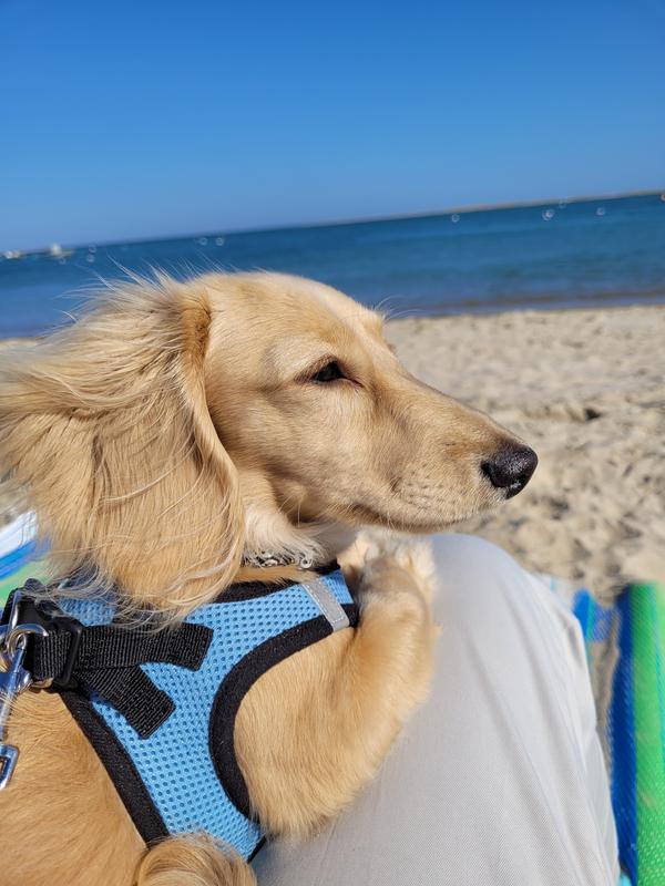 A day at the beach!