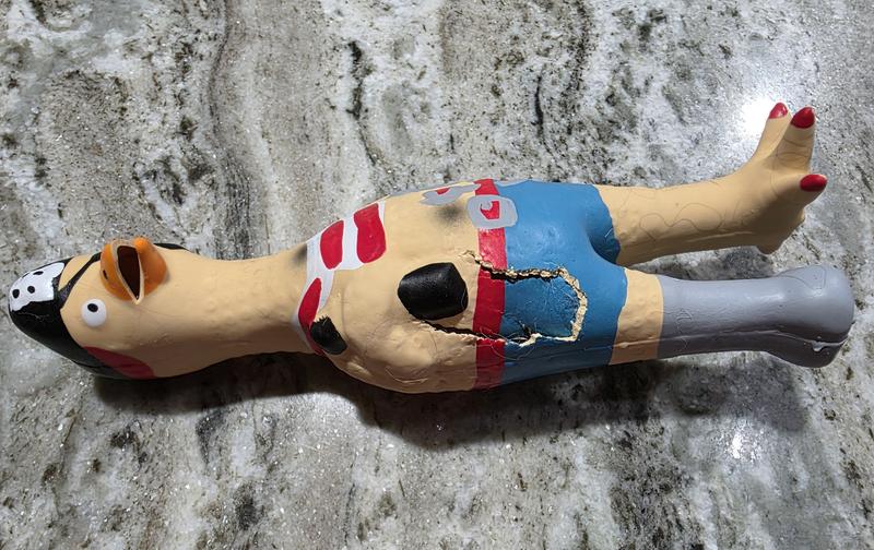 RUFFIN' IT Captain Jack Rubber Chicken Dog Toy - Chewy.com