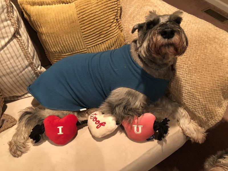 Our Big Boy proudly displaying his V-Day toy.
