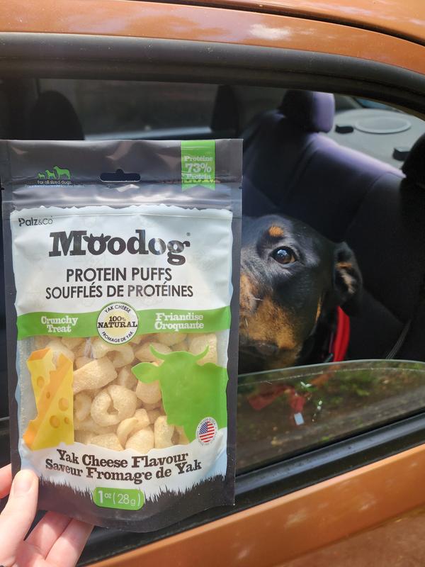 These arrived right as we were getting ready to go to the park and he was immediately interested. He knows the chewy box!