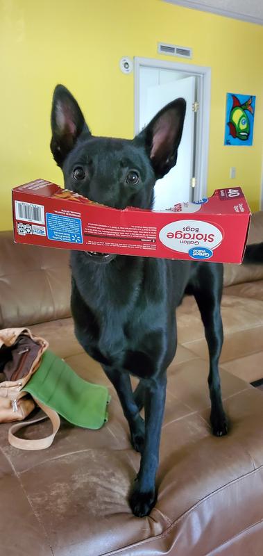 Here, Mom. Let's put it in the trash.